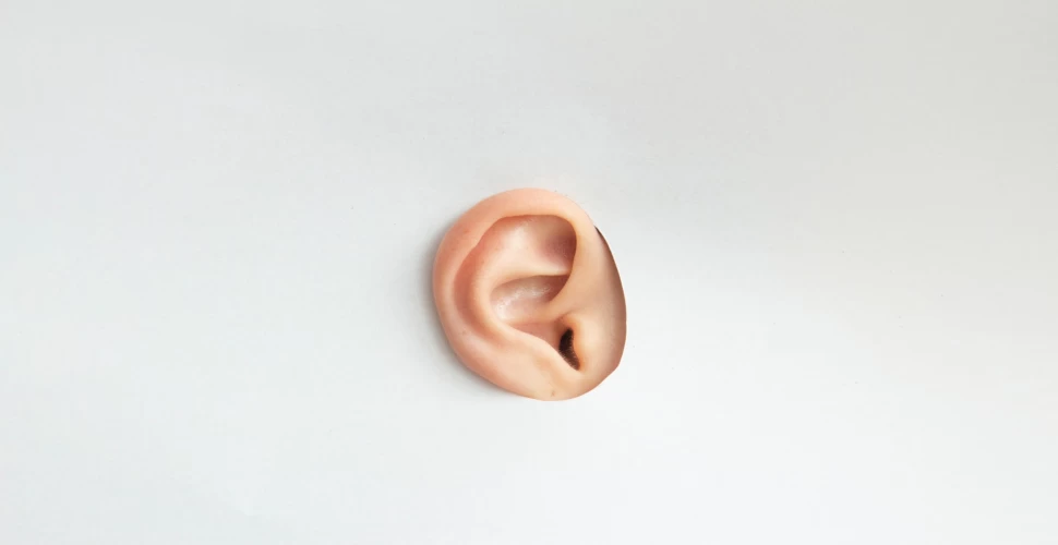 What Is Good For Ear Congestion? How Does Ear Congestion Heal the Fastest?